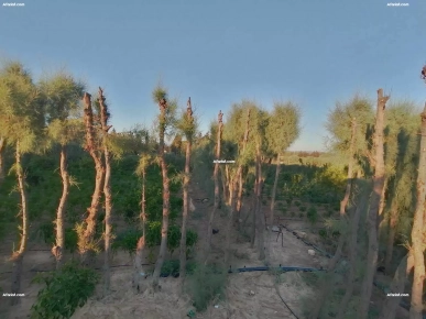 Ferme à vendre Ferme à vendre