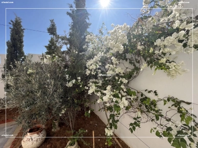 Superbe Villa 10 min de Yasmine Hammamet (Zone 71)