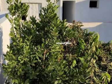 فيلا للبيع دار للبيع