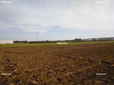 terrain agricole terrain agricole