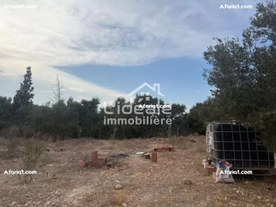 Terrain Ramla à Hammamet Zone sidi Hamed