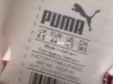 chaussure Puma evaspeed