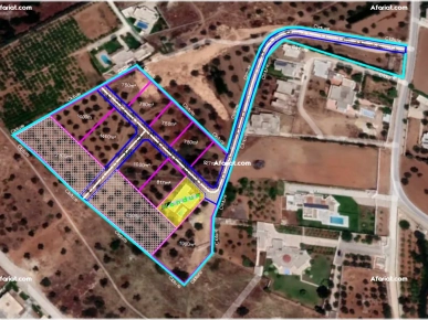 A vendre des lots de terrains A vendre des lots de terrains