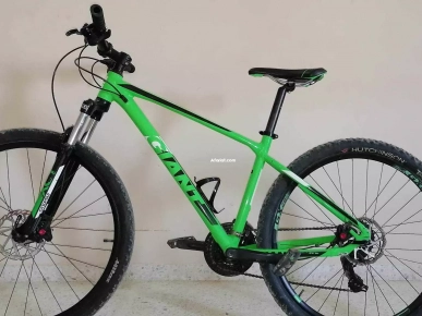 Summer bike