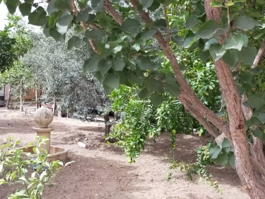 Dans une belle villa à 5 mn de la plage à nabeul