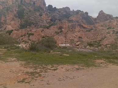 À Vendre – Terrain de 3,5 Hectares avec Gisement de Marbre