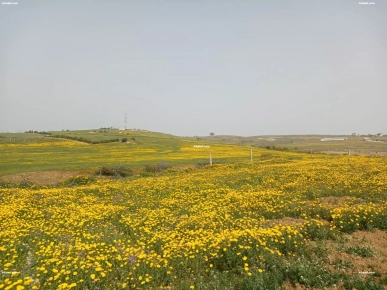 Terrain à vendre Terrain à vendre