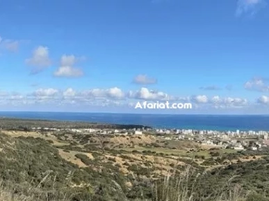 2 hectares à vendre à la montagne ezzahra nabeul