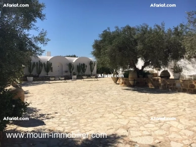 La Ferme Des Cactées T377 Hammamet