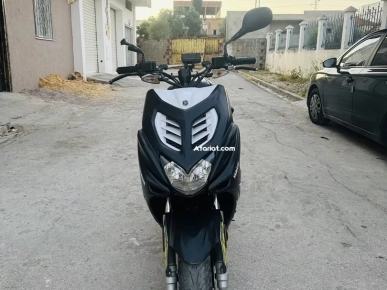 nitro nouveau à vendre