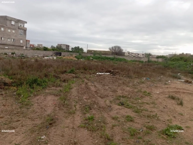 4000 m2 à vendre à la soukra