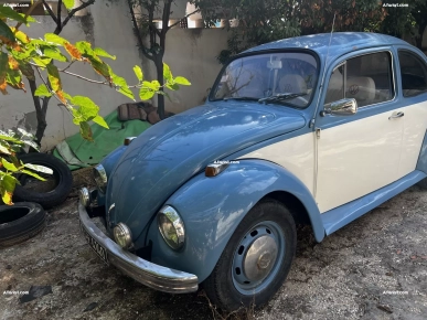 Avendre  coccinelle