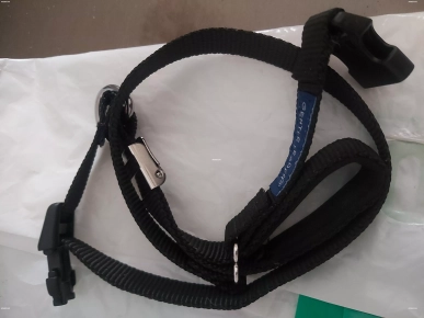 Collier de dressage