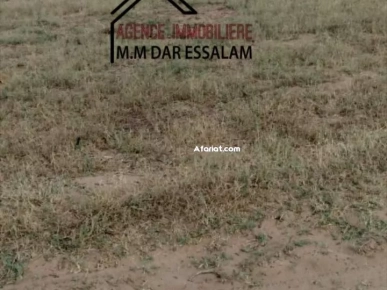 terrain agricole à vendre