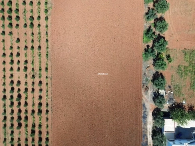 أرض زراعية رائعة بشهادة ملكية - فرصة نادرة في سيدي ثابت!