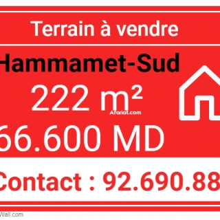 Annonce d'Offre catégorie Terrains à Hammamet région de Nabeul: Terrain pour investissement Hammamet 