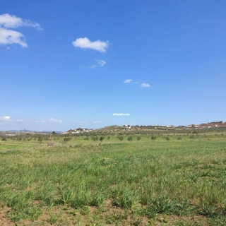 Terrain agricole à vendre à Hammamet ( El Monchar)