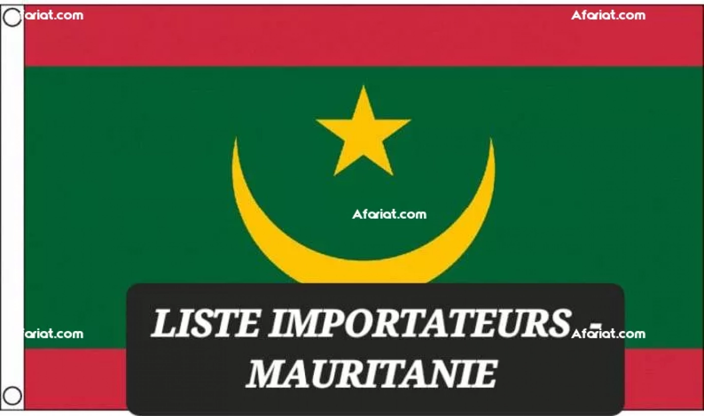 Liste importateurs - mauritanie