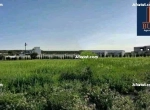 Annonce d'Offre catégorie Terrains à Hammamet région de Nabeul: terrain a vendre 