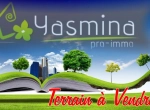 Annonce d'Offre catégorie Terrains à Hammamet région de Nabeul: Terrain TH009 Mrezka : 