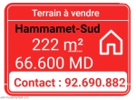 Annonce d'Offre catégorie Terrains à Hammamet région de Nabeul: Terrain pour investissement Hammamet 