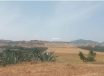 Annonce d'Offre catégorie Terrains à Hammamet région de Nabeul: Terrain de compagne à Hammamet 