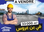 Annonce d'Offre catégorie Terrains à Ben Arous région de Ben Arous: Terrain industriel 33 000 m2 A ben arous 
