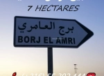 Annonce d'Offre catégorie Terrains à Borj El Amri région de Manouba: Terrain Agricole 7 Hectares A Borj Amri 