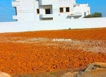 Annonce d'Offre catégorie Terrains à Hammamet région de Nabeul: terrain a vendre 28.910817 