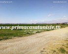 Annonce d'Offre catégorie Terrains à Hammamet région de Nabeul: terrain bilel 