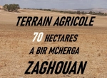 Annonce d'Offre catégorie Terrains à Zaghouan région de Zaghouan: Terrain 70 Hectares à Bir Mchergua Zaghouan 