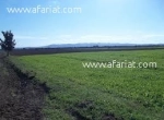 Annonce d'Offre catégorie Terrains à Hergla région de Sousse: A #vendre un #Terrain agricole à hergla 