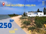 Annonce d'Offre catégorie Terrains à Kélibia région de Nabeul: terrain 2 ème position à DAR ALOUCHE 