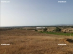 Annonce d'Offre catégorie Terrains à Kélibia région de Nabeul: terrain a vendre 28.910817 