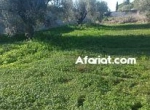 Annonce d'Offre catégorie Terrains à Hammamet région de Nabeul: Terrain dans un cartier calme 