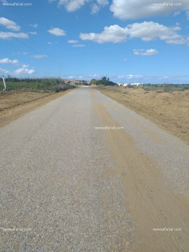 terrain a vendre