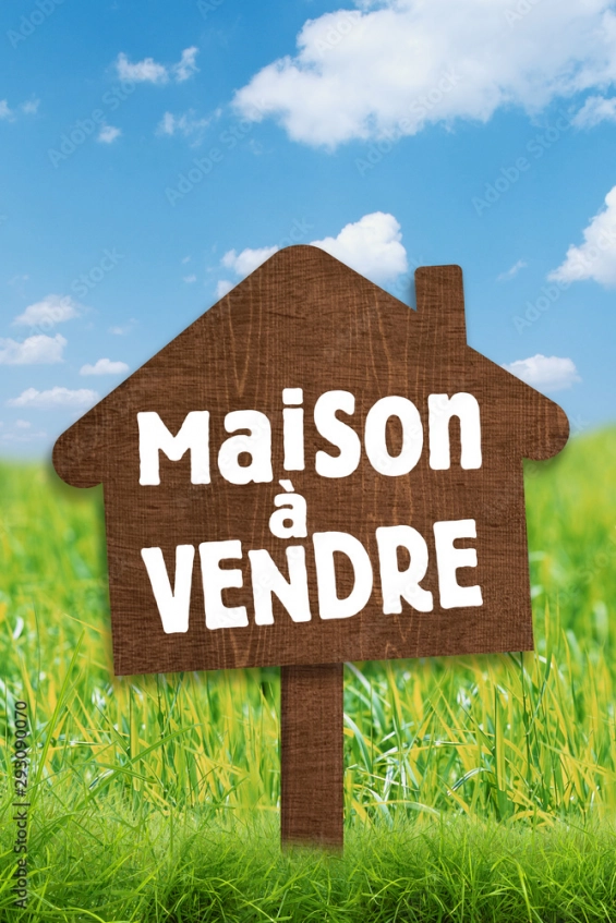Tres bon affaire n'hésitez pas à le découvrir
