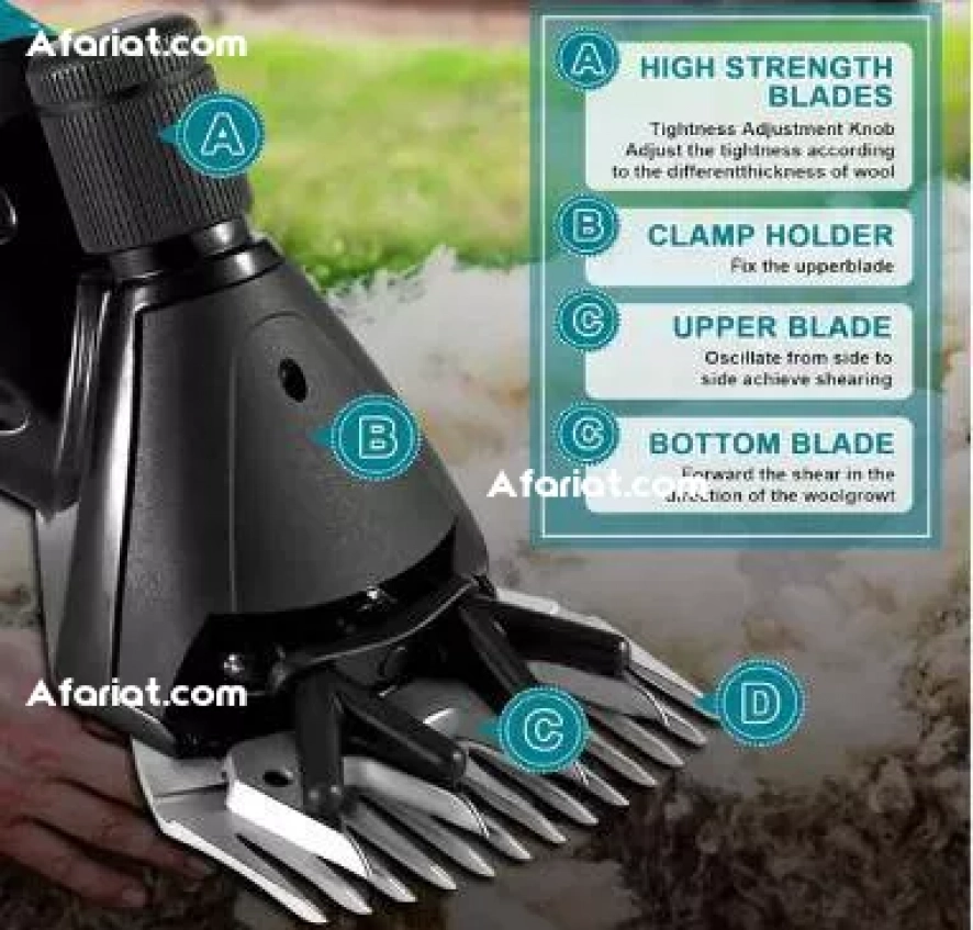 Tondeuse à moutons sans fil