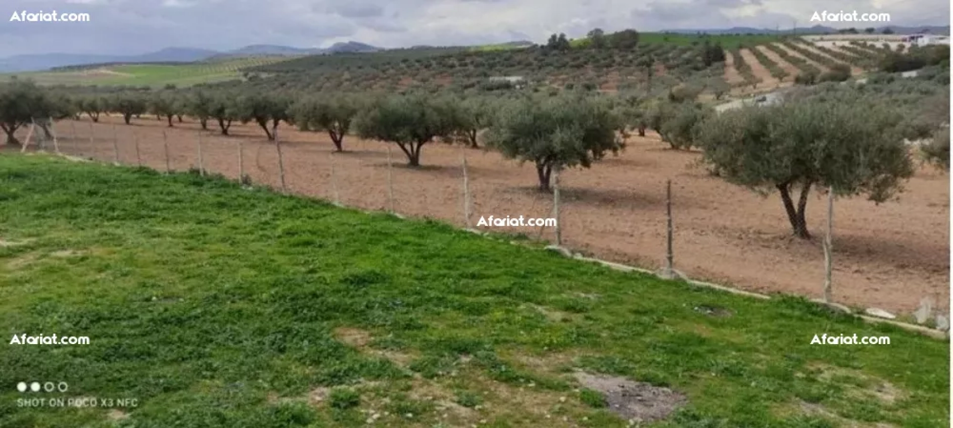 frigo sur un terrain agricole de 3hecatres