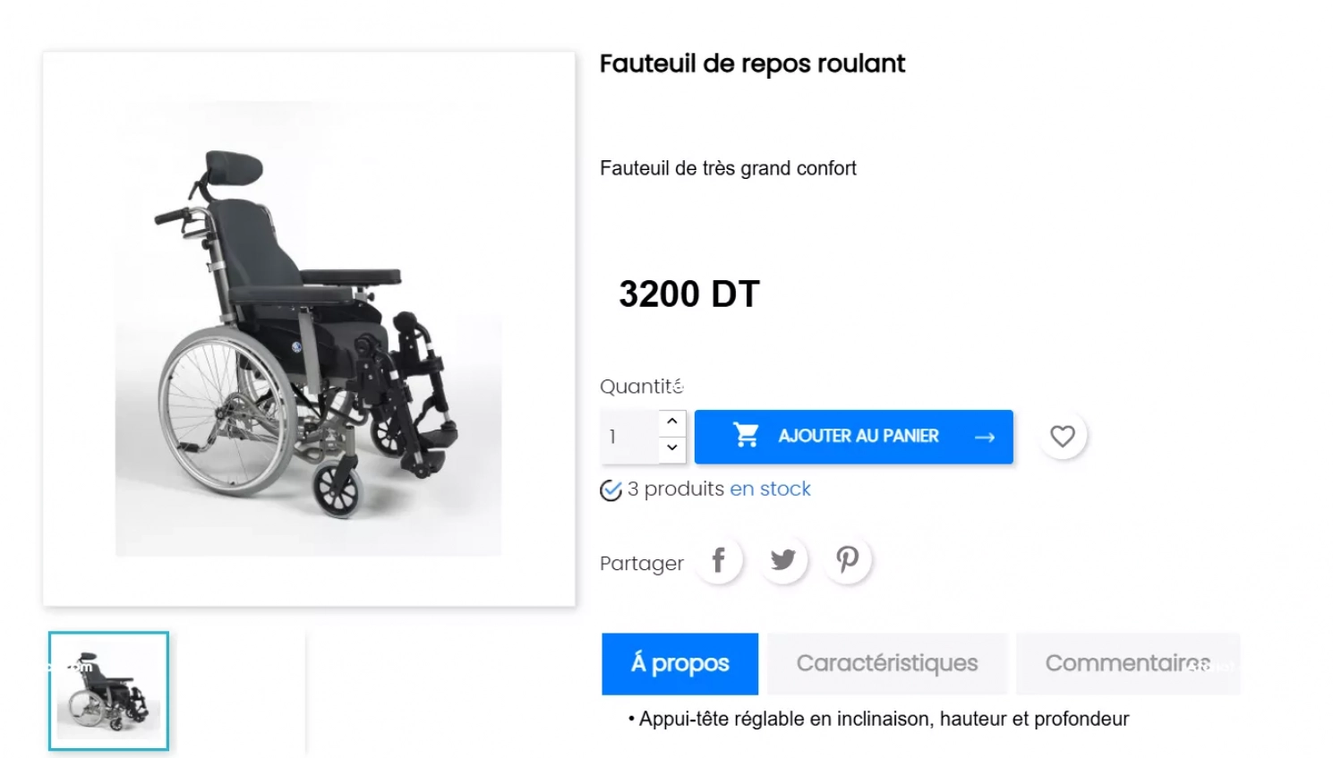 Fauteuil roulant passif manuel d'utilisation "REA Clematis"