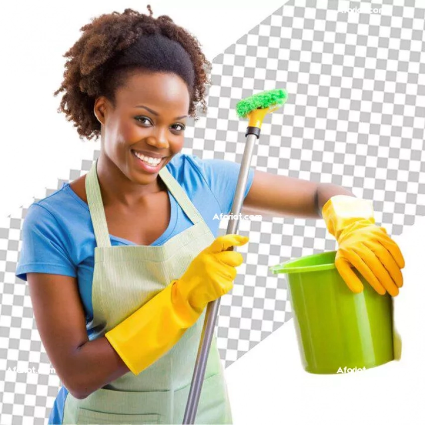 femme de ménage par jour