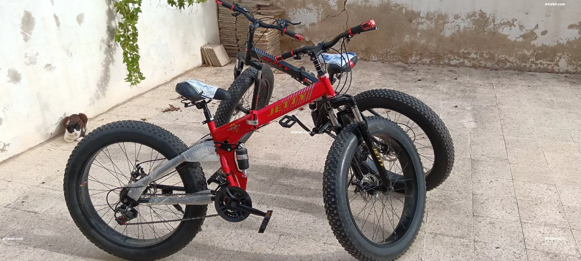 2 beaux VTT importés, pliables