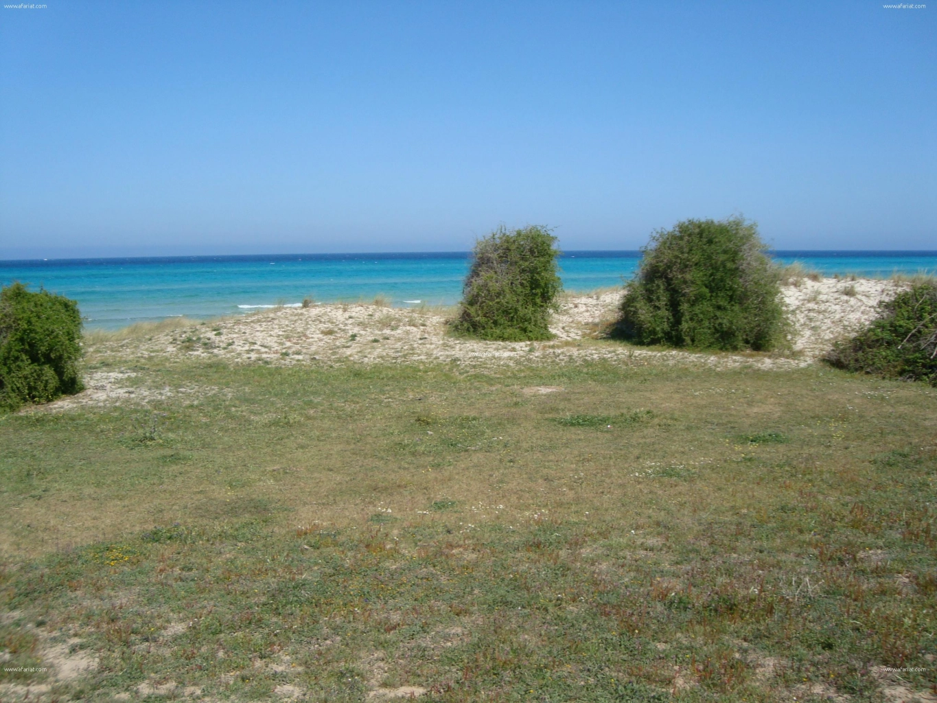 Terrain au bord de la mer