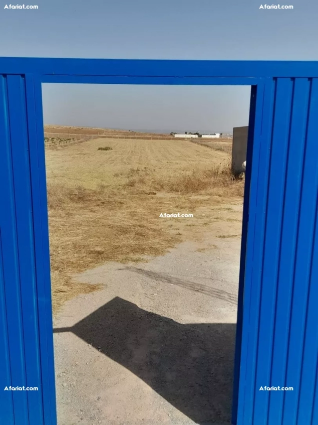 un terrain de 1 hectare à vendre