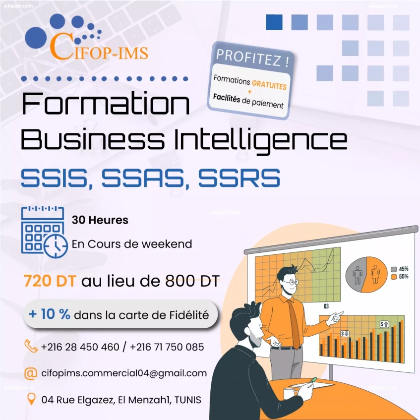 Formation Business Intelligence: Explorez les données