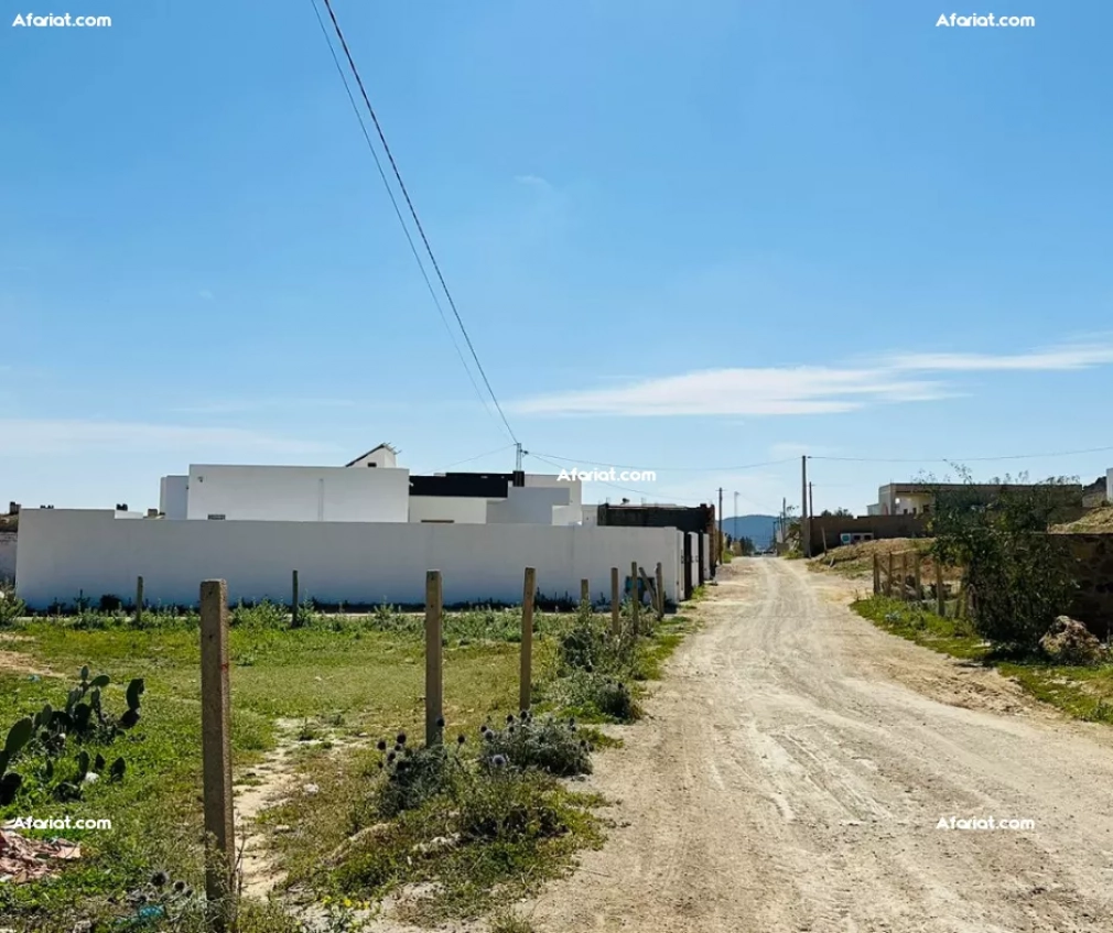 un  terrain A HAMMAMET