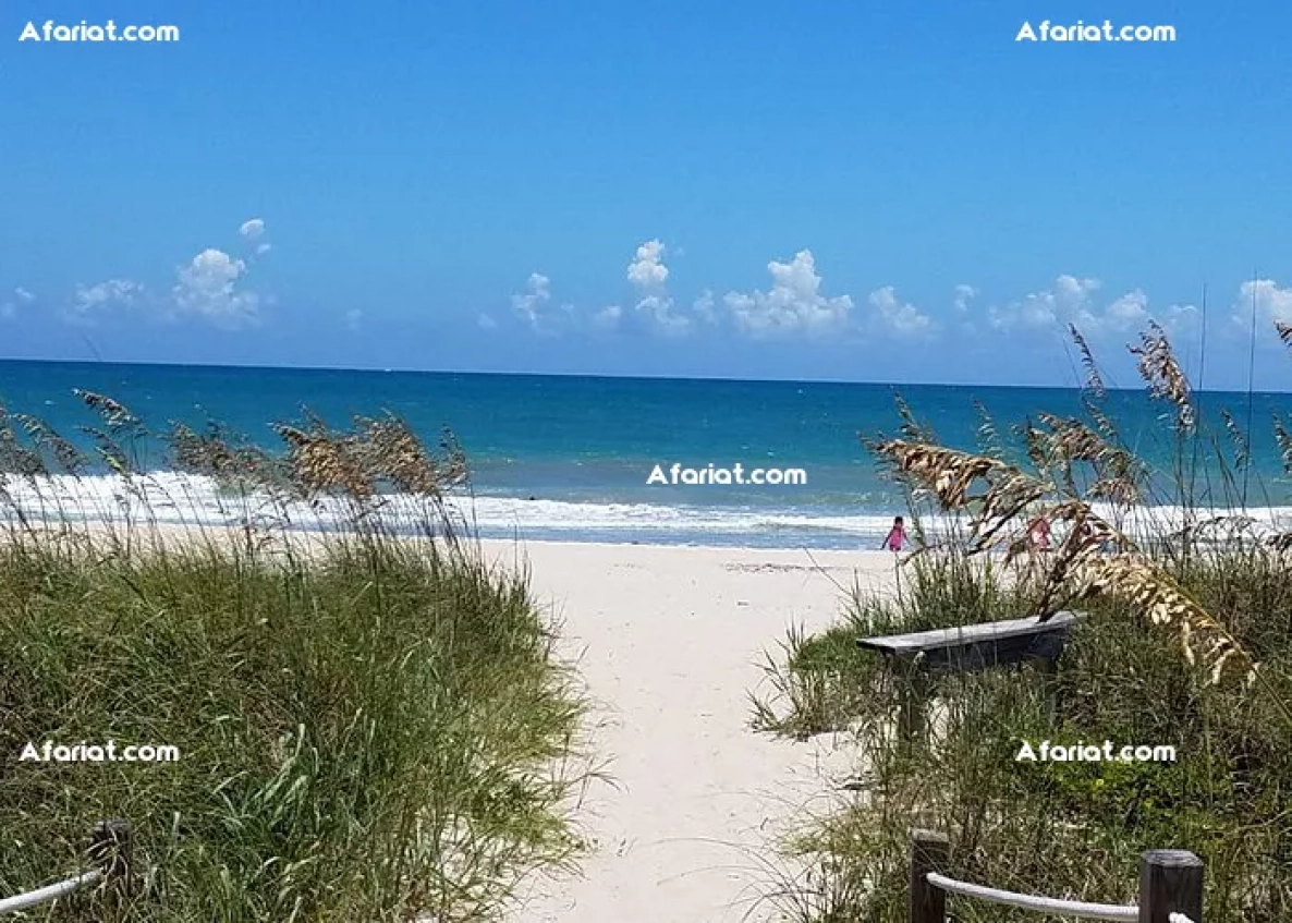 belle opportunité de 50000m²