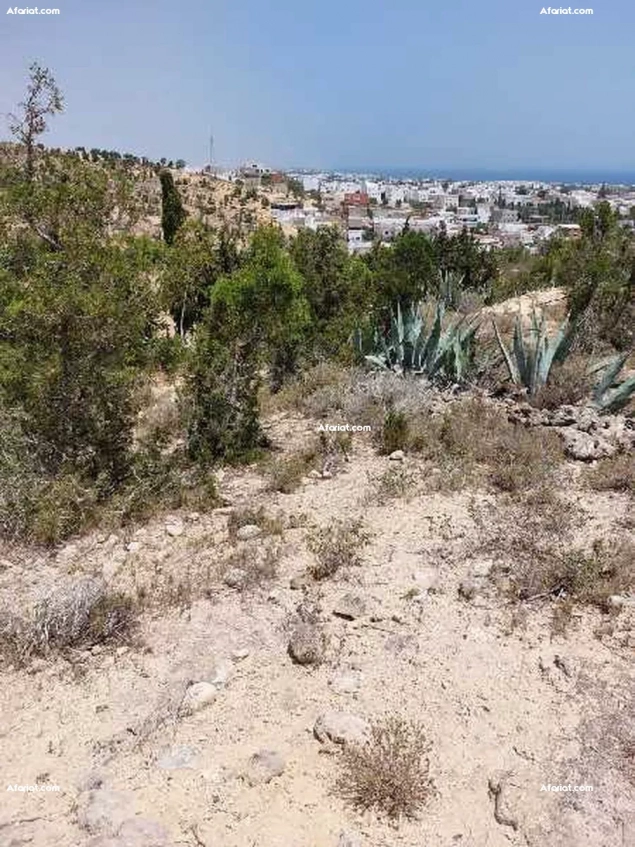 Terrain à Hammamet Zone touristique Hammamet nord