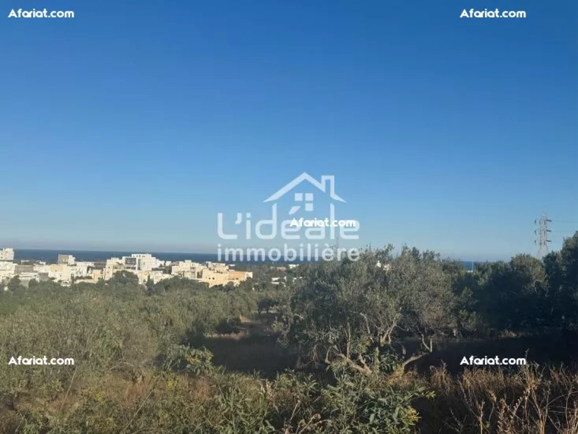 Terrain Rahma à hammamet Nord