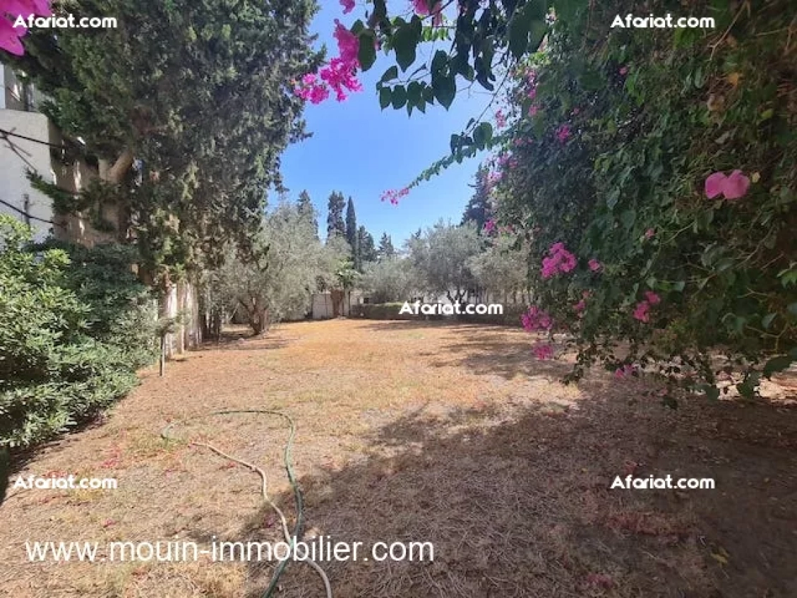 VILLA TALIA I Hammamet Nord AV1736